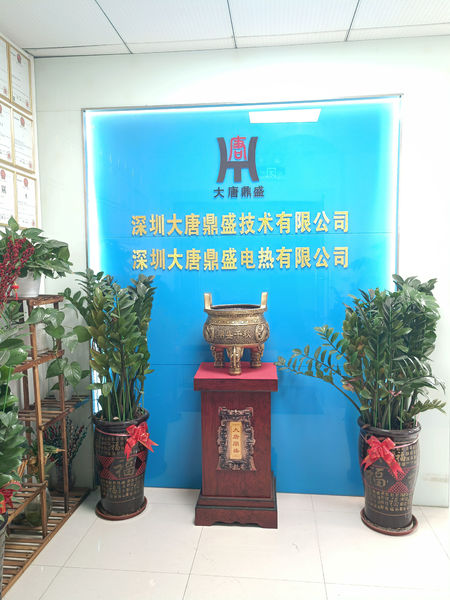Китай Shenzhen Datang Dingsheng Technology Co., Ltd. 